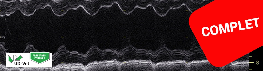 Cycle en échocardiographie canine - édition 6