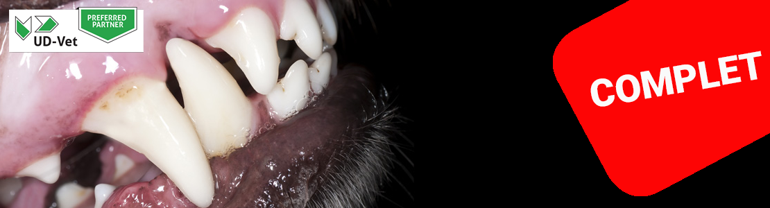 Cycle en Dentisterie du chien et du chat - Edition 6