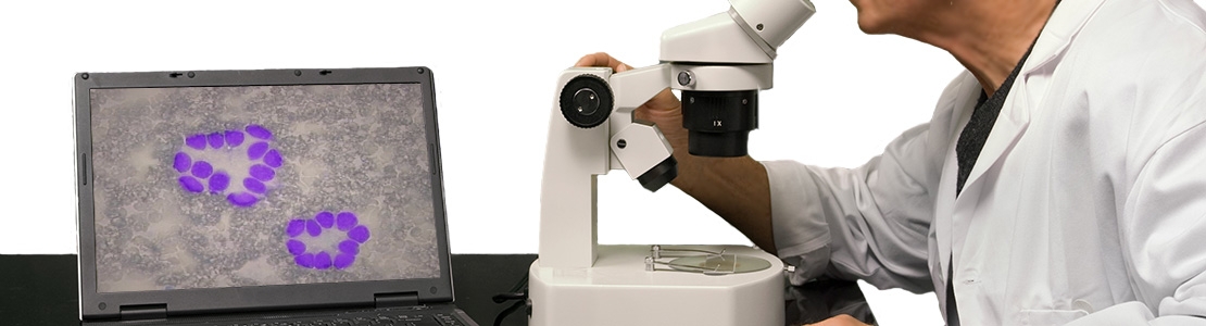 Cyclus in cytologie - Editie 8