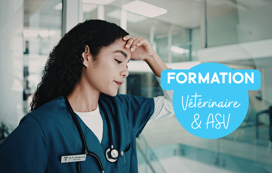 Mieux vivre ses &eacute;motions par la connaissance de soi - Veterinexpo