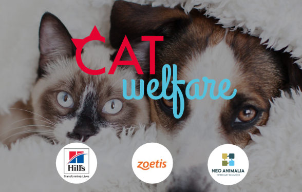 Cat Welfare Congres - Editie 6