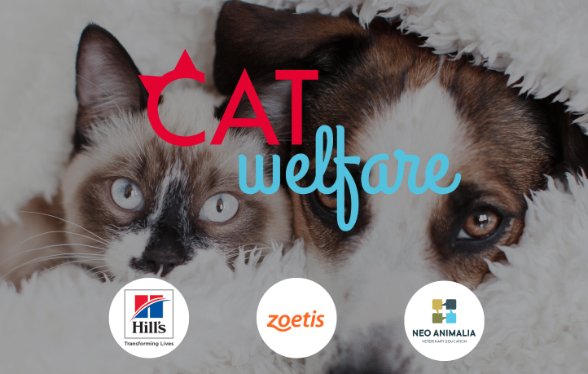 Cat Welfare FR - &eacute;dition 6