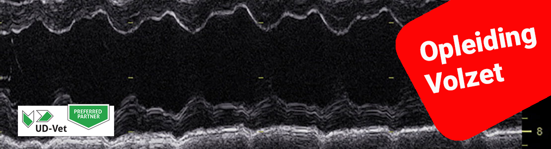 Didactisch parcours echocardiografie bij kleine huisdieren - editie 5