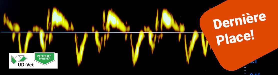 Echocardiographie Elite - Edition 1