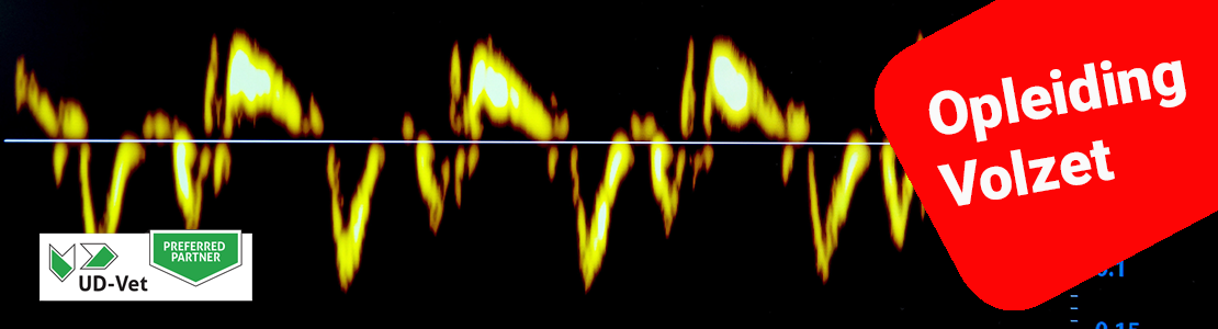 Elite Echocardiografie - Editie 1