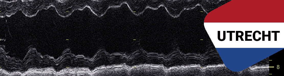 Didactisch parcours in echocardiografie bij kleine huisdieren NLD - Editie 2