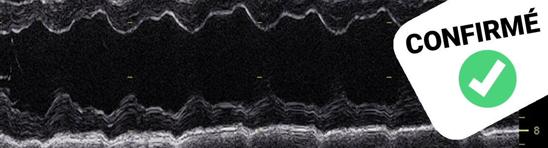Cycle en échocardiographie canine - édition 7