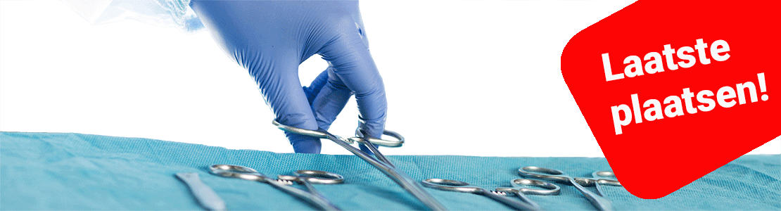 Probleemgerichte chirurgie bij de hond, wat te doen bij... Editie 5