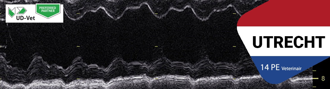 EPIC echocardiografie en echografie bij de benauwde kat