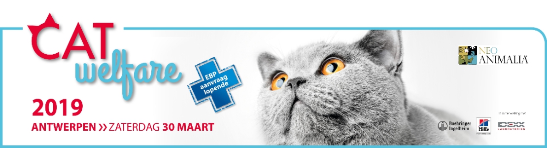 Cat Welfare 2019 Antwerpen