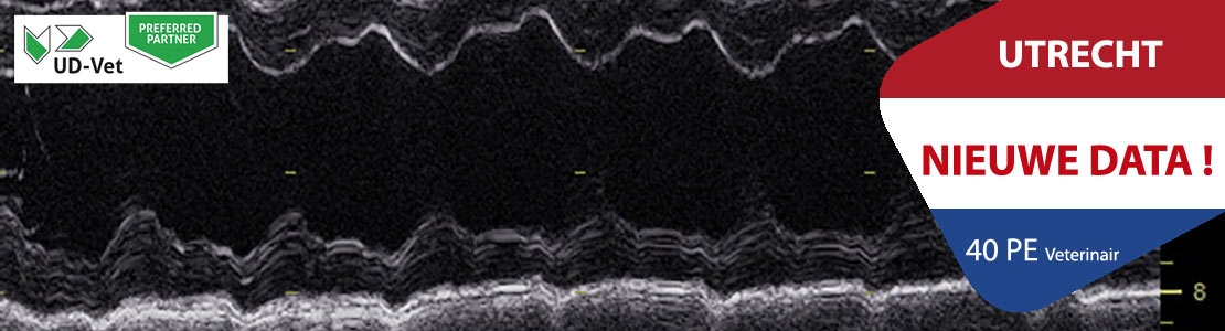 Didactisch parcours echocardiografie bij kleine huisdieren NLD - Editie 1